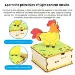 DIY Rooster DIY Science Experiment Kit & Education Model Toy Light Control Circuit Experiment Toys For Children Gift Toy - Image 2