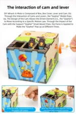 DIY Mouse Game Science and Technology Invention Hand-made Self-made Assembly Materials Science handmade toys physics toy - Image 9
