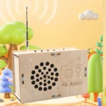 DIY FM Radio Model Student Science Education Scientific Training Experimental Equipment Steam Toys