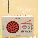 DIY FM Radio Model Student Science Education Scientific Training Experimental Equipment Steam Toys - Image 2