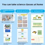 DIY Sunflower DIY Science Experiment Kit & Education Model Toy Physics Science Toys For Children Gift Toy Project - Image 5