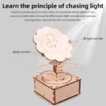 DIY Sunflower DIY Science Experiment Kit & Education Model Toy Physics Science Toys For Children Gift Toy Project - Image 3