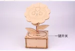 DIY Sunflower DIY Science Experiment Kit & Education Model Toy Physics Science Toys For Children Gift Toy Project - Image 14
