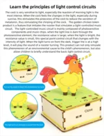 DIY Rooster DIY Science Experiment Kit & Education Model Toy Light Control Circuit Experiment Toys For Children Gift Toy - Image 8